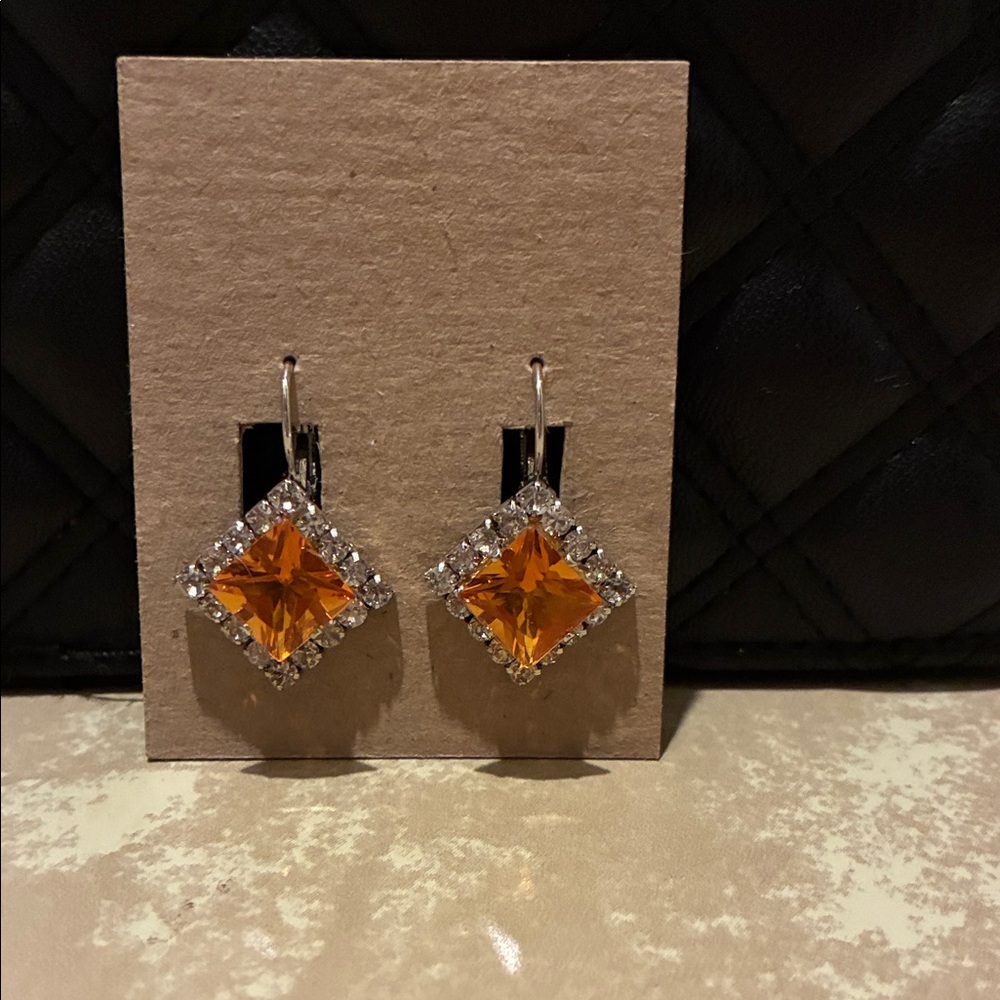Elegant Orange and Silver Earrings